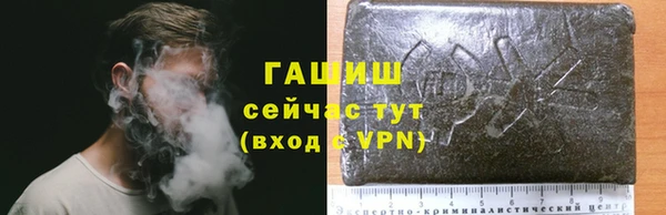 сатива Верея