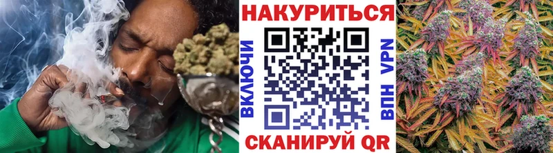 МАРИХУАНА сатива Духовщина
